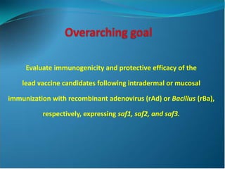 Application of Novel Delivery systems for ASFV antigens