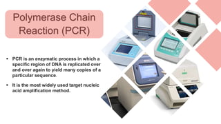 Application of PCR on Infectious Diseases | PPTX