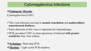 Application of PCR on Infectious Diseases | PPTX