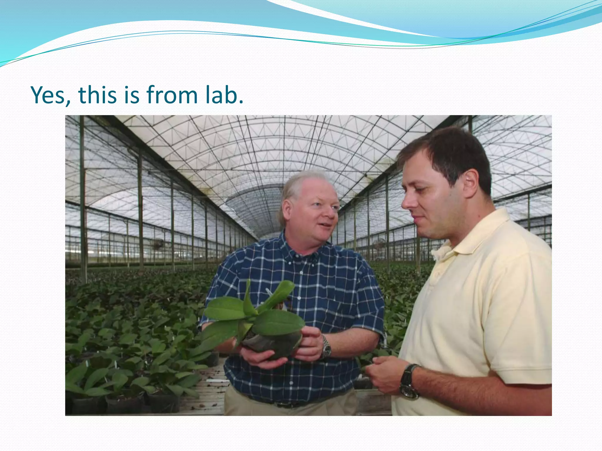 Yes, this is from lab.
 