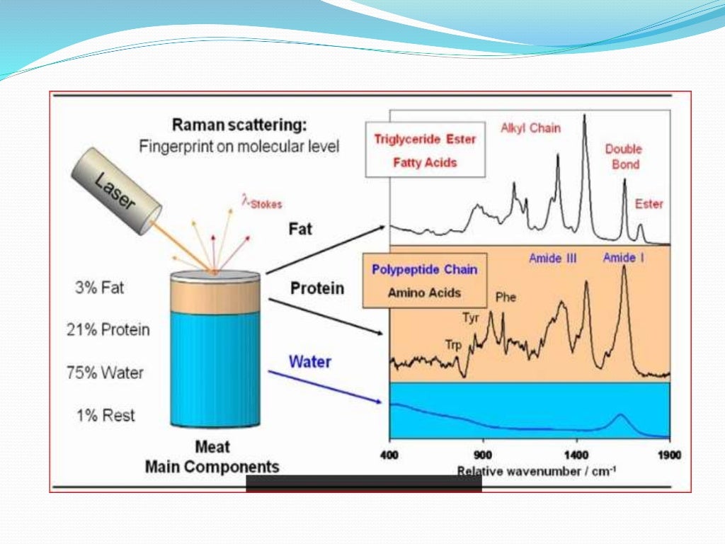 Application of raman spectroscopy in food analysis