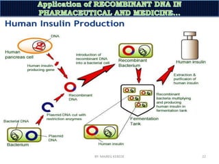 Application of recombinant dna in the pharmaceutical and medical fields ...