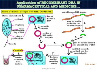 Application of recombinant dna in the pharmaceutical and medical fields ...