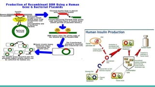 Application of recombinant dna technology | PPTX