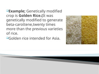 Genetically Modified Giant Rice Application Of Recombinant DNA technology and it’s Mechanism.pptx