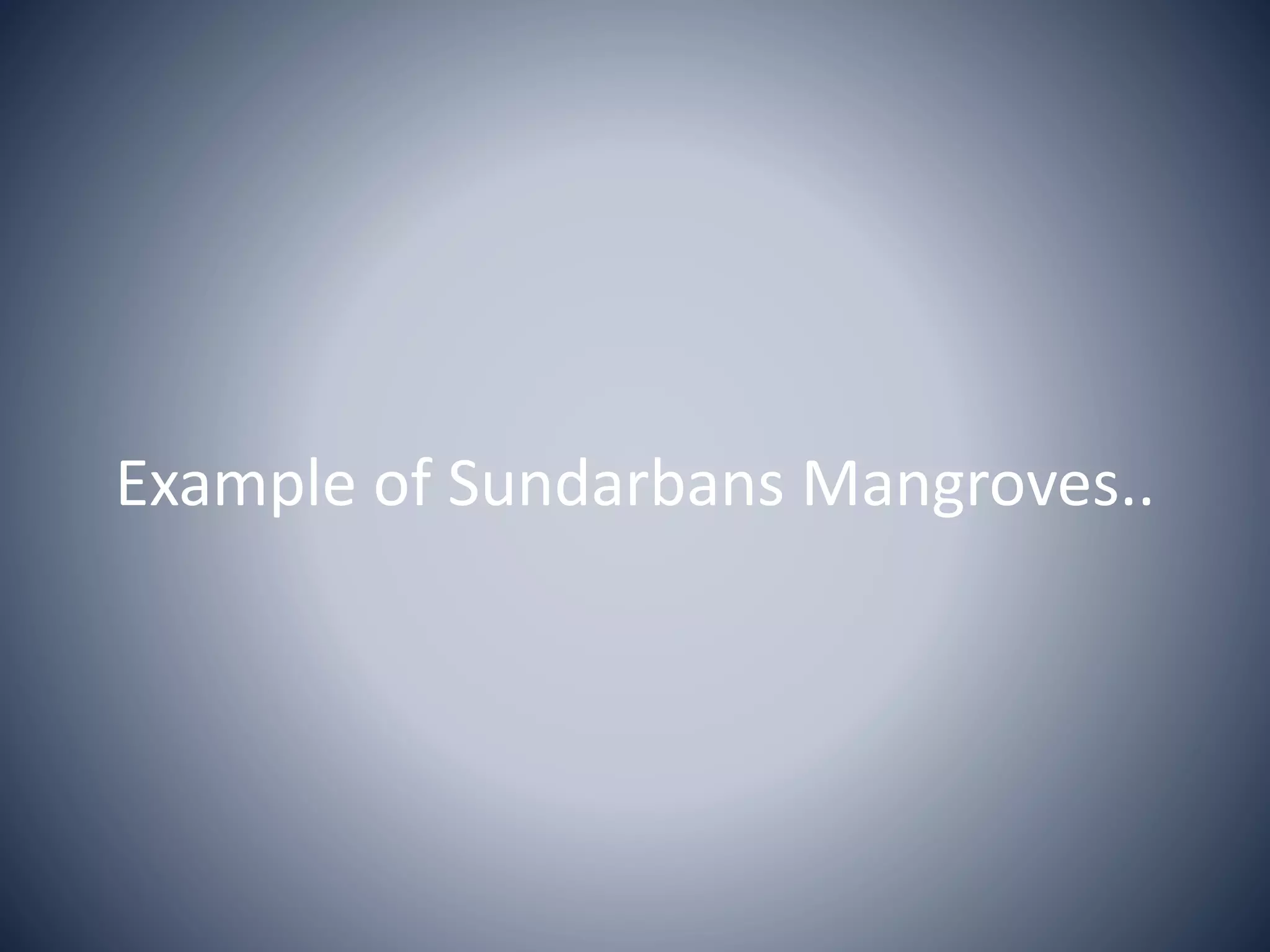 Example of Sundarbans Mangroves..
 