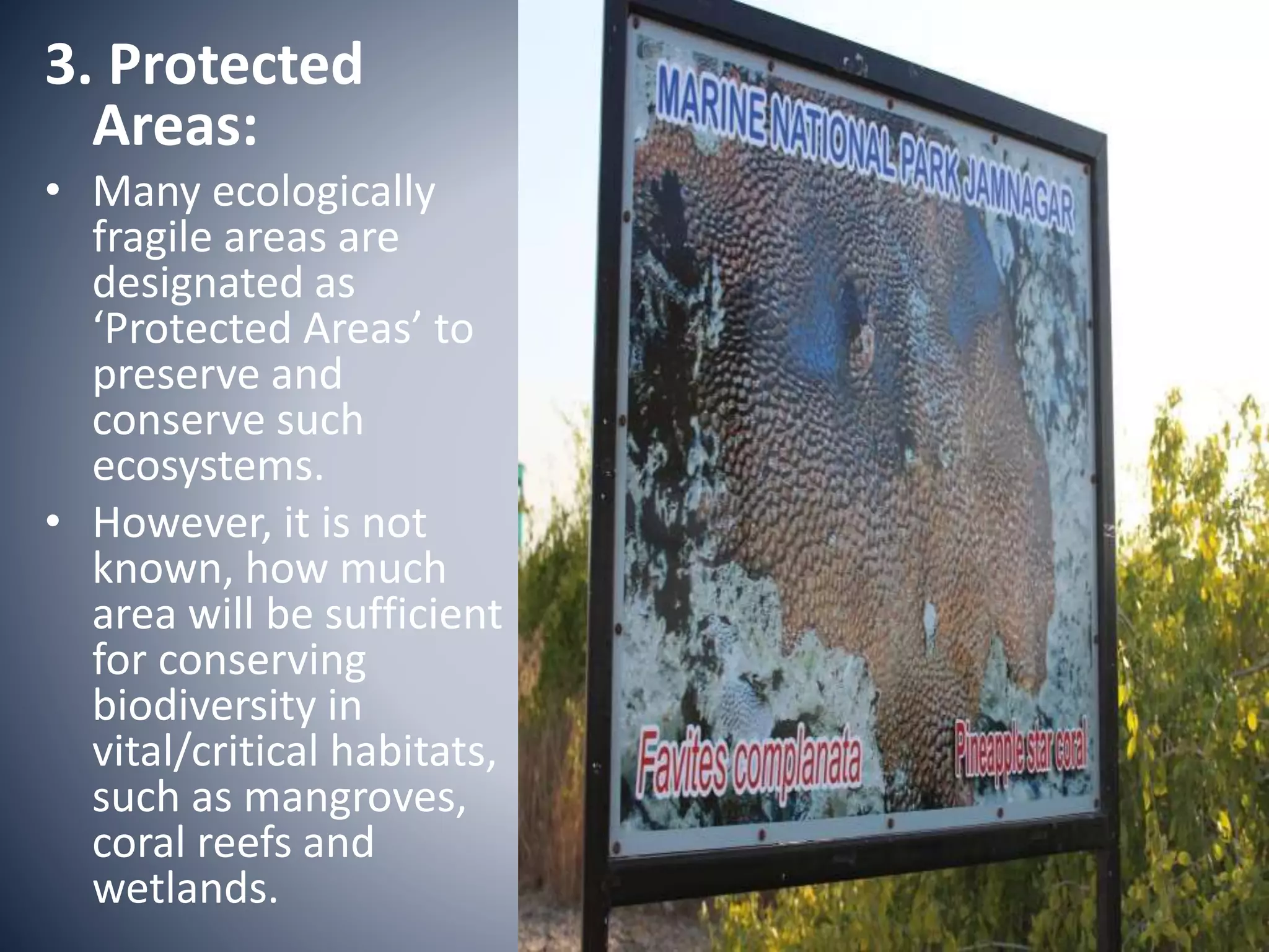 3. Protected
Areas:
• Many ecologically
fragile areas are
designated as
‘Protected Areas’ to
preserve and
conserve such
ecosystems.
• However, it is not
known, how much
area will be sufficient
for conserving
biodiversity in
vital/critical habitats,
such as mangroves,
coral reefs and
wetlands.
 