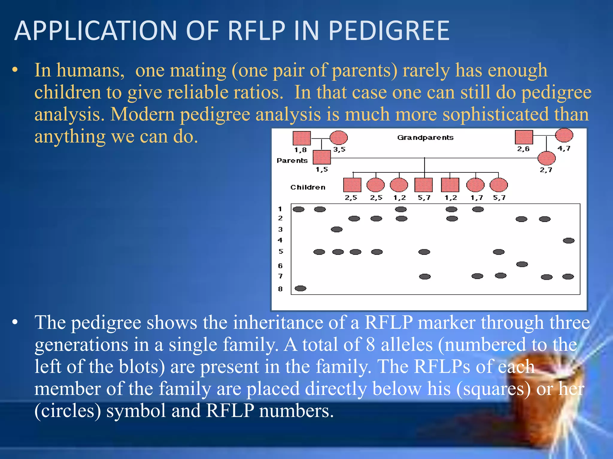 APPLICATION OF RFLP IN PEDIGREE
• In humans, one mating (one pair of parents) rarely has enough
children to give reliable ratios. In that case one can still do pedigree
analysis. Modern pedigree analysis is much more sophisticated than
anything we can do.
• The pedigree shows the inheritance of a RFLP marker through three
generations in a single family. A total of 8 alleles (numbered to the
left of the blots) are present in the family. The RFLPs of each
member of the family are placed directly below his (squares) or her
(circles) symbol and RFLP numbers.
 