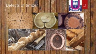 Structural Timber Risks Application of timber in the civil engineering structures | PPTX