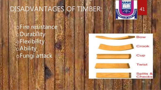 Timber And Its Applications , What is Timber and What Are Various Uses ...
