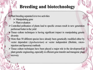 Application of tissue culture in crop improvement | PPTX