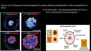Application of Tissue engineering in Cartilage, Cardiac, Pancreas ...