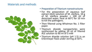 Materials and methods
• Preparation of Titanium nanostructures
• For the preparation of aqueous leaf
extract (ALE) solution of M. oleifera, 10 g
of M. oleifera powder + 100 ml of
deionized water, heat at 60°C for 10 min
to kill the pathogens.
• Then filtered using Whatman No. 1 filter
paper.
• Titanium dioxide nanoparticles were
synthesized by adding 10 ml of filtered
ALE solution to 90 ml of 5 mM
• Titanium dioxide solution (pH 1.5) in an
Erlenmeyer flask under stirring at 50°C.
 