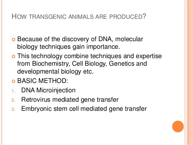 Application Of Transgenesis Ppt Application Of Transgenesis Ppt