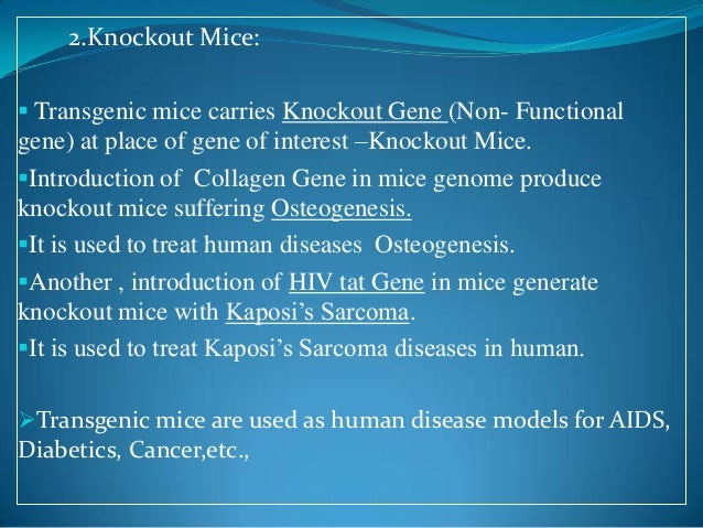 Application Of Transgenic Animals