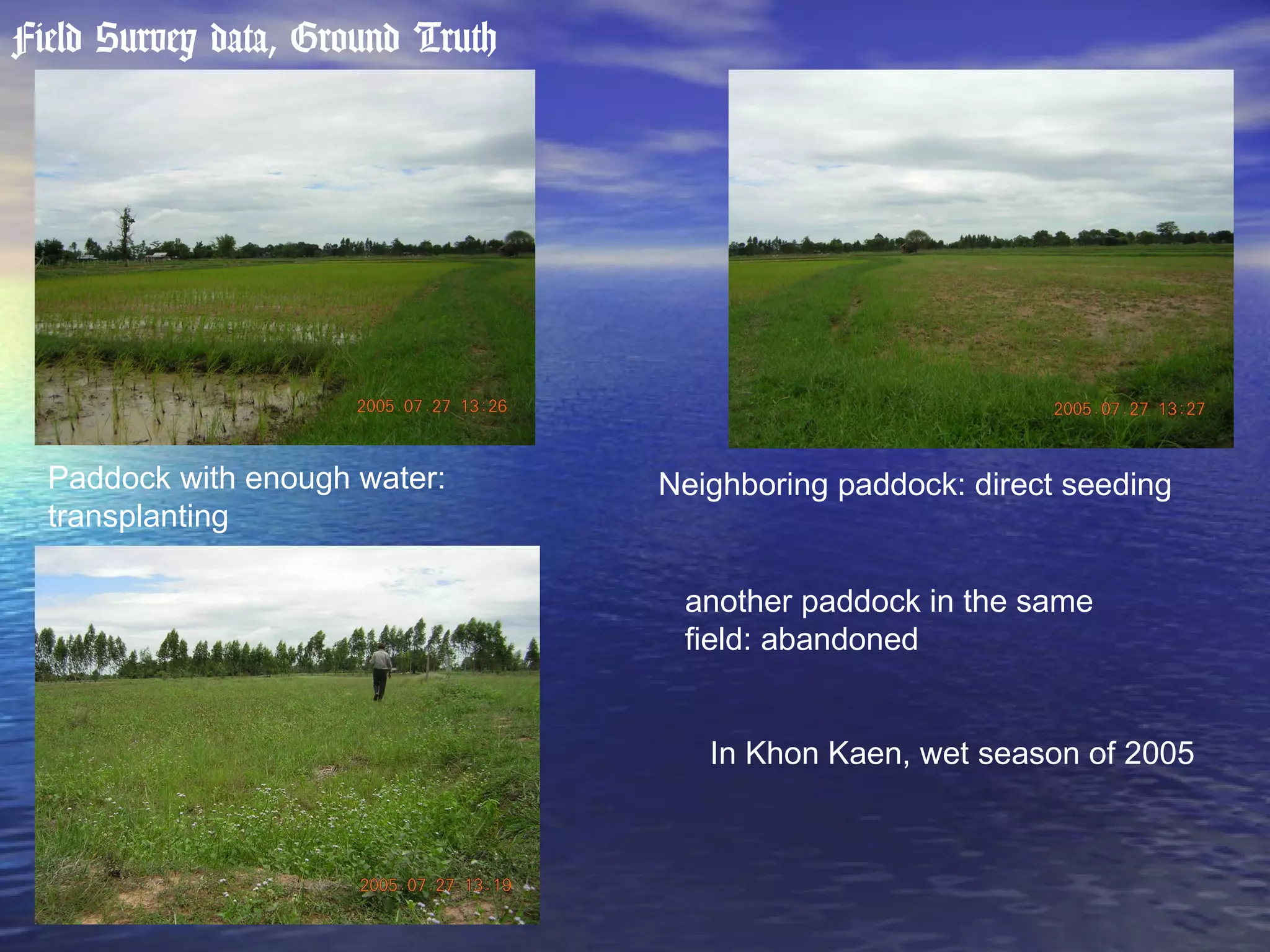 Field Survey data, Ground Truth Paddock with enough water: transplanting Neighboring paddock: direct seeding another paddock in the same field: abandoned In Khon Kaen, wet season of 2005 
