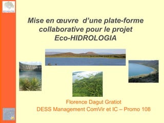 Mise en œuvre d’une plate-forme
   collaborative pour le projet
        Eco-HIDROLOGIA




           Florence Dagut Gratiot
  DESS Management ComVir et IC – Promo 108
 