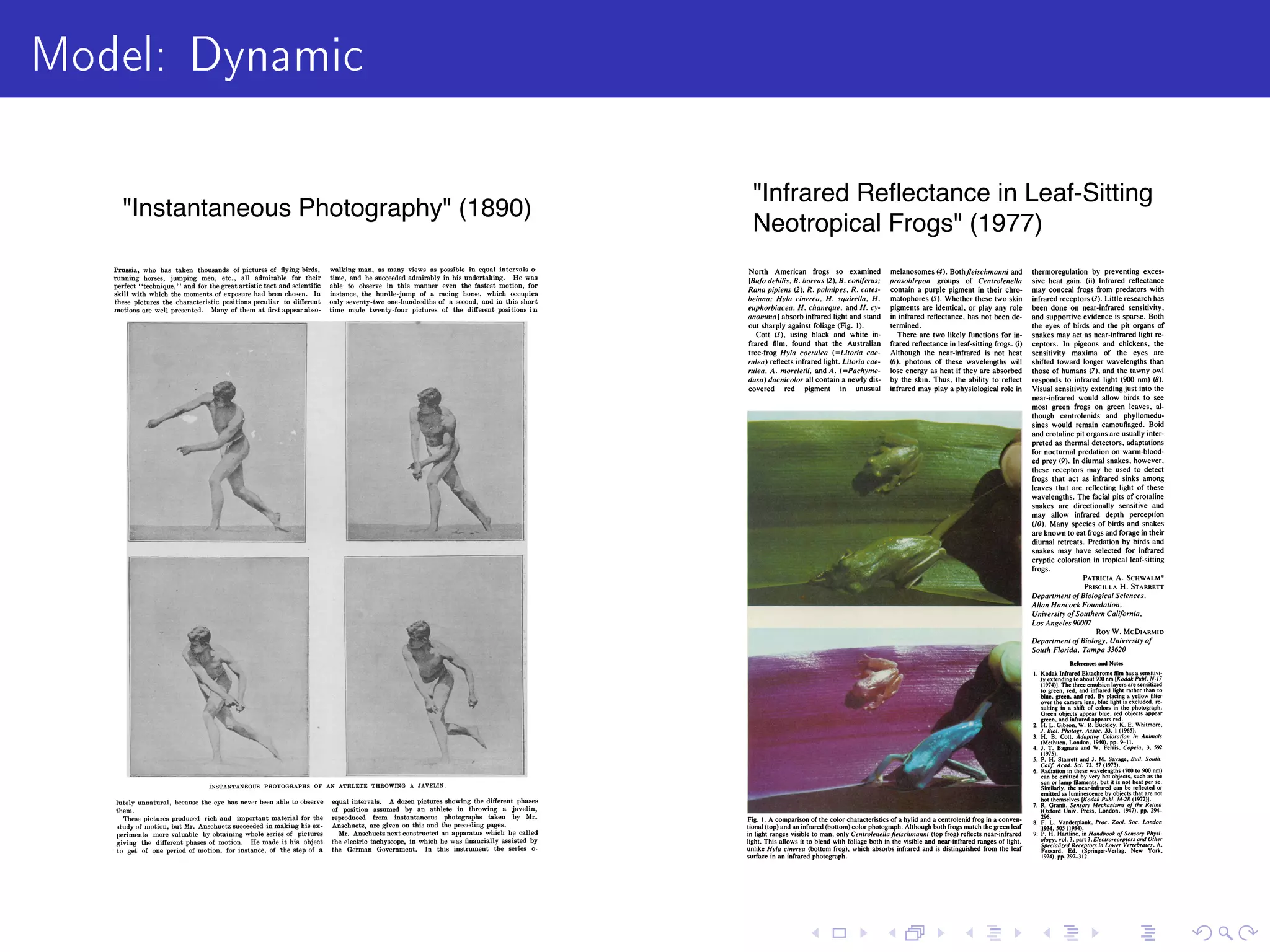 Model: Dynamic
uments are not exchangeable
Infrared Reﬂectance in Leaf-Sitting
Neotropical Frogs (1977)
Instantaneous Photography (1890)
 