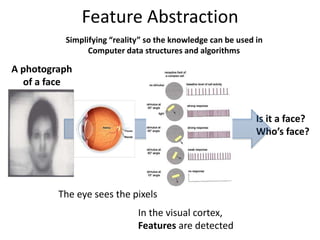 Feature Abstraction
Simplifying “reality” so the knowledge can be used in
Computer data structures and algorithms
A photograph
of a face
Is it a face?
Who’s face?
The eye sees the pixels
In the visual cortex,
Features are detected
 