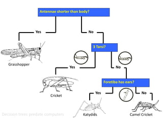 Grasshopper
Antennae shorter than body?
Cricket
Foretiba has ears?
Katydids Camel Cricket
Yes
Yes
Yes
No
No
3 Tarsi?
No
Decision trees predate computers
 