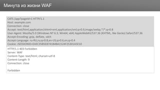 ЗаголовокМинута из жизни WAF
CATS /app?pageId=1 HTTP/1.1
Host: example.com
Connection: close
Accept: text/html,application/xhtml+xml,application/xml;q=0.9,image/webp,*/*;q=0.8
User-Agent: Mozilla/5.0 (Windows NT 6.3; Win64; x64) AppleWebKit/537.36 (KHTML, like Gecko) Safari/537.36
Accept-Encoding: gzip, deflate, sdch
Accept-Language: ru-RU,ru;q=0.8,en-US;q=0.6,en;q=0.4
Cookie: JSESSIONID=EAEC35B5E8741B4BA1524F25301A5E10
HTTP/1.1 403 Forbidden
Server: WAF
Content-Type: text/html; charset=utf-8
Content-Length: 9
Connection: close
Forbidden
 