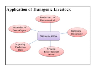 Applications of animal biotechnology | PPTX