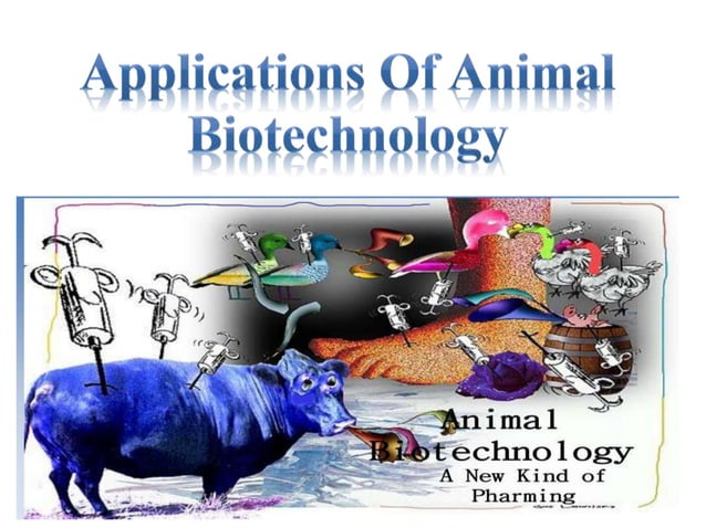 current research topics in animal biotechnology