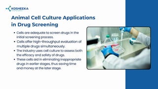 Applications of Animal Tissue Culture: The In Vitro Tools of Biomedical ...