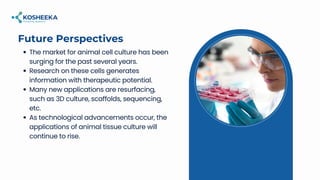 Applications of Animal Tissue Culture: The In Vitro Tools of Biomedical ...