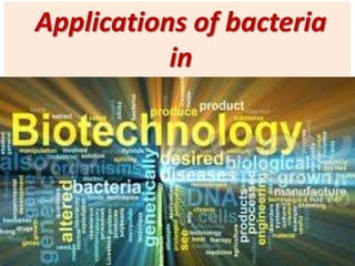 Applications of bacteria
in
 