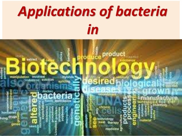 Applications Of Bacteria In Biotechnology