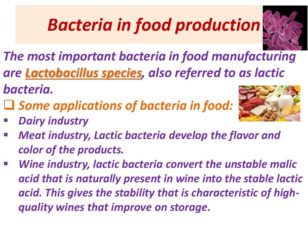 Applications of bacteria in biotechnology.