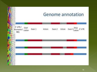 Applications of bioinformatics, main by kk sahu | PPT