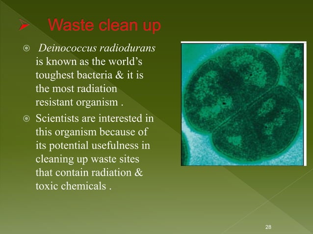 Applications of bioinformatics, main by kk sahu | PPT