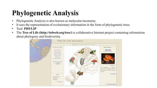 Phylogenetic Analysis
• Phylogenetic Analysis is also known as molecular taxonomy.
• It uses the representation of evolutionary information in the form of phylogenetic trees.
• Tool: PHYLIP
• The Tree of Life (http://tolweb.org/tree/) is collaborative Internet project containing infomration
about phylogeny and biodiversity.
 