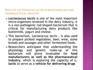 Lactics Micro Applications of bioinformatics | PPTX
