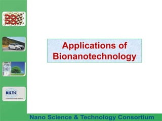 Applications of Bionanotechnology 