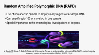 Random Amplified Polymorphic DNA (RAPD)
• Use of non-specific primers to amplify many regions of a sample DNA
• Can amplify upto 100 or more loci in one sample
• Special importance in the entomological investigations of corpses
L. Congiu, M. Chicca, R. Cella, R. Rossi and G. Bernacchia, The use of random amplified polymorphic DNA (RAPD) markers to identify
strawberry varieties: a forensic application, Mol Ecol, 9.2000, 229-32.
6/18/2017 8
 