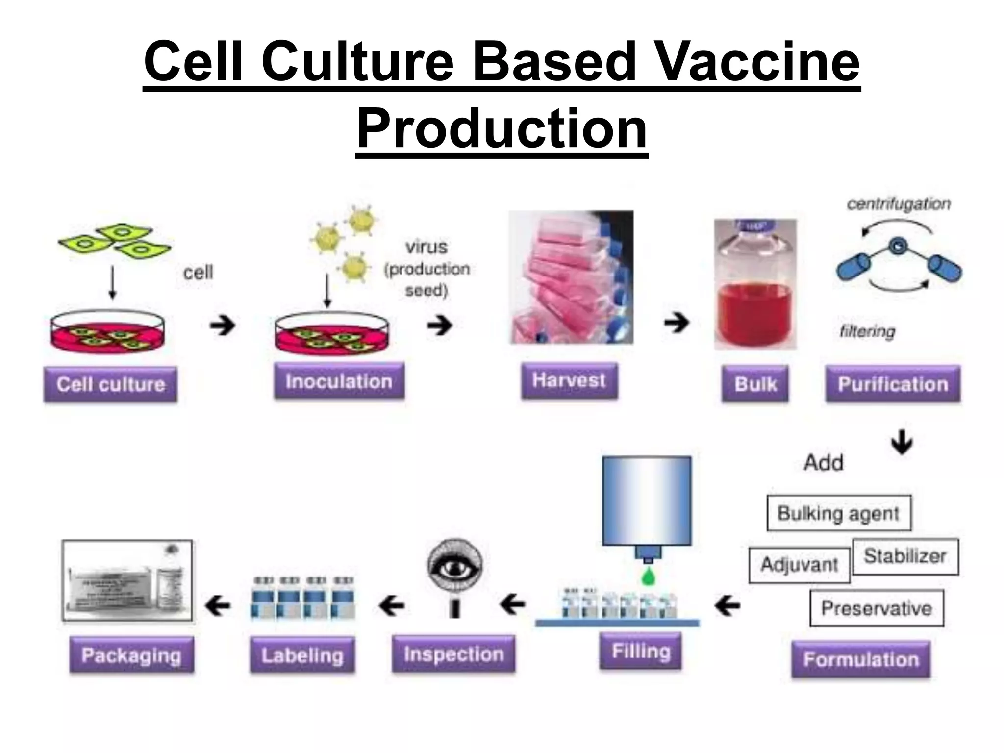 Applications of cell culture | PPTX