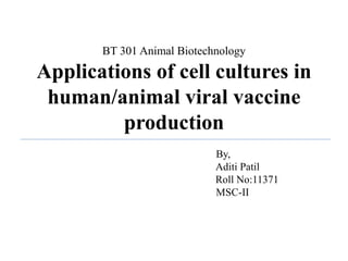 BT 301 Animal Biotechnology
Applications of cell cultures in
human/animal viral vaccine
production
By,
Aditi Patil
Roll No:11371
MSC-II
 