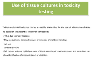 Use of tissue cultures in toxicity
testing
Mammalian cell cultures can be a suitable alternative for the use of whole animal tests
to establish the potential toxicity of compounds.
This due to many reasons:
•They can overcome the disadvantages of the whole animal tests including:
High cost
Variability of results
•Cell culture tests are ripid,allow more efficient screening of novel compounds and sometimes can
allow identification of metabolic target of inhibition.
 