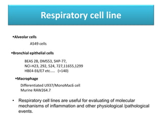 Respiratory cell line
Alveolar cells
A549 cells
Bronchial epithelial cells
BEAS 2B, DMS53, SHP-77,
NCI-H23, 292, 524, 727,11655,1299
HBE4-E6/E7 etc….. (>140)
Macrophage
Differentiated U937/MonoMac6 cell
Murine RAW264.7
• Respiratory cell lines are useful for evaluating of molecular
mechanisms of inflammation and other physiological /pathological
events.
 