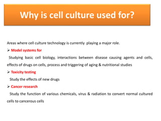 Why is cell culture used for?
Areas where cell culture technology is currently playing a major role.
 Model systems for
Studying basic cell biology, interactions between disease causing agents and cells,
effects of drugs on cells, process and triggering of aging & nutritional studies
 Toxicity testing
Study the effects of new drugs
 Cancer research
Study the function of various chemicals, virus & radiation to convert normal cultured
cells to cancerous cells
 