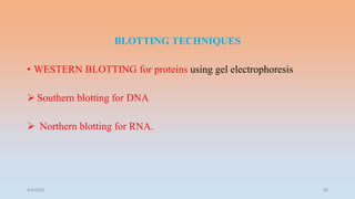 BLOTTING TECHNIQUES
• WESTERN BLOTTING for proteins using gel electrophoresis
 Southern blotting for DNA
 Northern blotting for RNA.
4/5/2022 36
 