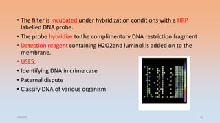 • The filter is incubated under hybridization conditions with a HRP
labelled DNA probe.
• The probe hybridize to the complimentary DNA restriction fragment
• Detection reagent containing H2O2and luminol is added on to the
membrane.
• USES:
• Identifying DNA in crime case
• Paternal dispute
• Classify DNA of various organism
4/5/2022 45
 