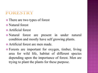  There  are two types of forest
 Natural forest
 Artificial forest
 Natural forest are present in under natural
  condition and mostly have self growing plants.
 Artificial forest are men made.
 Forests are important for oxygen, timber, living
  area for wild life, habitat of different species
  depending upon the importance of forest. Men are
  trying to plant the plants for these purpose.
 
