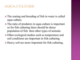  The  rearing and breeding of fish in water is called
  aqua culture.
 The ratio of predators in aqua culture is important
  so for fish culturing there should be dense
  population of fish then other types of animals.
 Other ecological studies such as temperature and
  soil conditions are important in fish culturing.
 Heavy soil are more important for fish culturing.
 