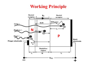 Working Principle
P
N
 