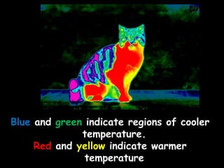 Blue and green indicate regions of cooler
temperature.
Red and yellow indicate warmer
temperature
 