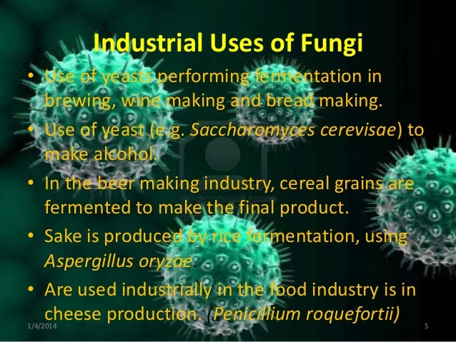 INDUSTRIAL USES OF BACTERIA PDF DOWNLOAD INDUSTRIAL USES OF BACTERIA PDF DOWNLOAD